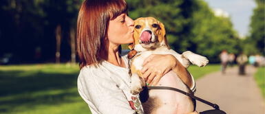 Esta carta está dirigida para tu mascota y fiel compañero. Carta a mi perro: "Eres mi compañero de vida hasta tus últimos ladridos"