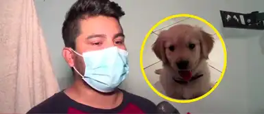 Salamanca: Roban en vivienda y se llevan hasta la mascota Salamanca: Roban en vivienda y se llevan hasta la mascota