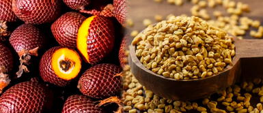 La llegada de la menopausia también puede ocasionar ciertas complicaciones en la vida de la mujer El aguaje, soya y fenogreco: tridente natural para mejorar la salud femenina