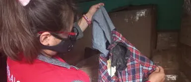 Donaciones fueron dañadas por roedores debido a pésimo almacenamiento. Perú: alcaldes no distribuyen donaciones a población vulnerable y son dañadas por ratas y pericotes