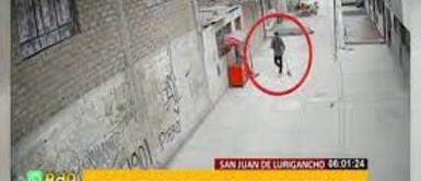 4 delincuentes roban a mujer su carrito sanguchero en la madrugada. Delincuentes encañonaron a una anciana para robarle dinero en efectivo y su carrito sanguchero