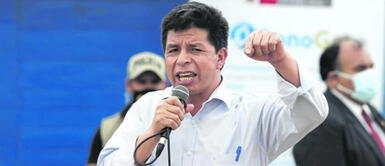 Pedro Castillo anuncia que pondrá orden en el paro de transportistas en las próximas horas. Pedro Castillo sobre paros: "Pondremos orden en las próximas horas"