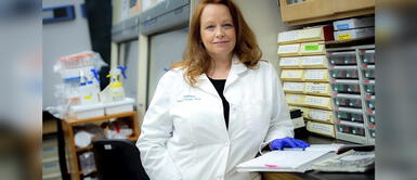 Conoce cómo afecta el coronavirus al cerebro durante el contagio. EE.UU.: Un estudio muestra los efectos persistentes de la COVID-19 en el cerebro