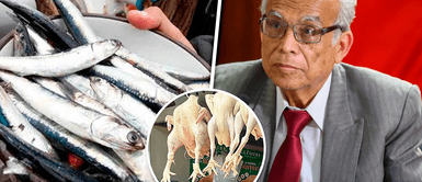 Aníbal Torres es consultado sobre si reemplazó el pollo por el pescado Aníbal Torres pierde los papeles con periodistas por decirle si "cambió el pollo por pescado" | VIDEO