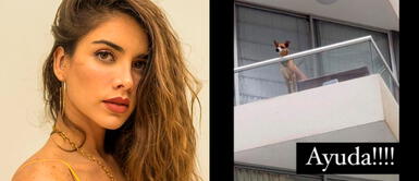 Korina Rivadeneira protesta contra el maltrato animal Korina Rivadeneira protesta contra dueño que cerró la boca de su perrito con cinta | VIDEO