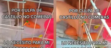 Los productos básicos han subido sus precios en los mercados y por ello se han dado las manifestaciones en todo el país. Peruana quita la zanahoria a su conejo para cocinar arroz con pollo: "Culpa de Castillo"