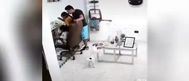 Perro roba pollo a la brasa a su dueño Perro roba pollo a la brasa a su dueño