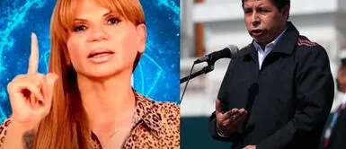 Vidente mexicana vaticina fin del gobierno de Pedro Castillo: Irán a nuevas elecciones Vidente mexicana vaticina fin del gobierno de Pedro Castillo: "Irán a nuevas elecciones"