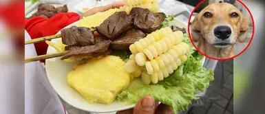 Niña sintió dolores en el estómago luego de comer los anticuchos. Menor come anticuchos en la calle y encuentra un chip de PERROS: "Por favor cuiden a sus mascotas"