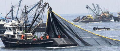 La pesca en Chimbote ha disminuido desde hace cinco meses. Pescadores artesanales de Chimbote anuncian paro indefinido desde HOY: “Estamos abandonados”