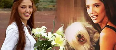 Adela Noriega: dónde vive realmente la exactriz y a qué se dedica Adela Noriega: dónde vive realmente la exactriz y a qué se dedica