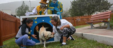 Lo recomendable es que el perro no esté en celo y el uso del bozal. Parques para mascotas en Lima: los 7 lugares que debes visitar con tus perros