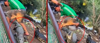 En México, un hombre en estado de ebriedad arriesgó su vida tras patear a cocodrilos Hombre golpea a cocodrilo: "No me faltes el respeto porque soy tu rey" | VIDEO