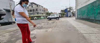 Vecinos de La Victoria denuncian a agentes del Serenazgo por atropellar a un perrito. La Victoria: auto de Serenazgo atropelló a perrito tras subir a la vereda