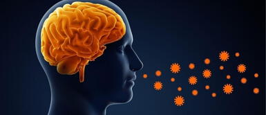 Estudio de Oxford revela que el coronavirus encoge cerebro y materia gris se reduce en regiones relacionadas con olfato y memoria. Oxford revela que el coronavirus deja secuelas en el cerebro