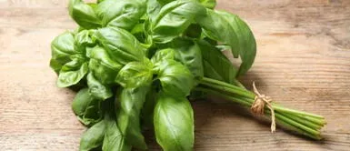 Jhan Sandoval cuenta el mejor ritual con albahaca para atraer el amor este 2022. Jhan Sandoval cuenta el mejor ritual con albahaca para atraer el amor este año