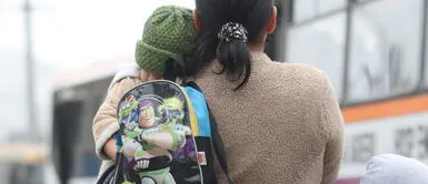 Pensión de alimentos. Pensión de alimentos: Si tuve hijos en diferentes mujeres, ¿cuánto de mi sueldo va para cada uno?