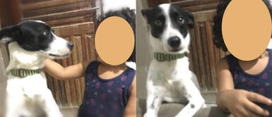 La nena usó las sombras de su madre para pintarse como su mascota. Mujer encuentra a su pequeña niña maquillándose para parecerse a su perro