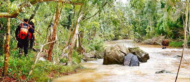La terrible escena fue presenciada por sus dos otros hermanitos de 9 y 4 años. Tragedia en Argentina: dos menores mueren tras ser arrastrados por la corriente de un arroyo