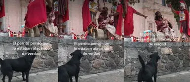 Perrito ladra para defender a 'atacado' en vía crucis Perrito interrumpe Vía Crucis para defender a hombre 'azotado' en escenificación
