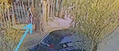 Vídeo captó el instante en que el agente policial se llevó por la fuerza a la menor. Argentina: policía es acusado de secuestrar, golpear y violar a niña de 5 años