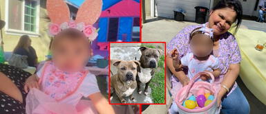 La niña llegó al hospital con el brazo derecho fracturado Madre mató a un pitbull a puñaladas para salvar a su bebé: "Era mi hija o él"