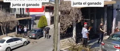 El hecho fue captado por uno de sus vecinos. Sucedió en México. Viral: Mujer recibió la visita de los que serían sus cuatro novios y no supo qué hacer