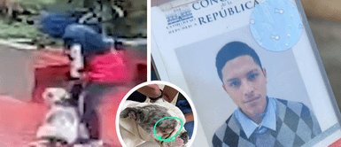 Trabajador del Congreso golpea e intenta ahorcar a mascota dentro de un condominio Trabajador del Congreso golpea e intenta ahorcar a mascota dentro de un condominio