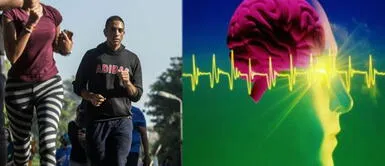 Realizar actividad tiene diversos beneficios. ¿Hacer ejercicio evita que el cerebro se encoja?