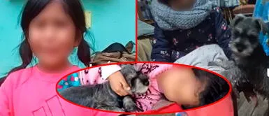 Niña se volvió viral tras pedir ayuda para encontrar a su perrito Cusco: niña ofrece sus ahorros para recuperar a su perrito