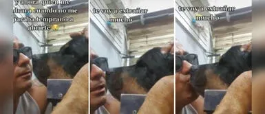 El dueño del perrito se conmovió con el fallecimiento de su mascota. Señor se quiebra y llora al despedirse de su perrito: "Solo es un hasta luego"