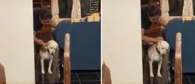 Perrito se deja pasar el huevo por su mamá humana. Perrito perdió el apetito y su dueña le pasa el huevo para eliminar el mal de ojo