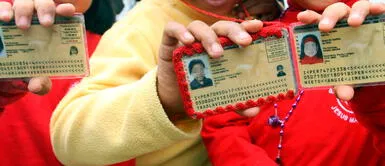 El DNI de los menores de edad es un documento importante para realizar diversos trámites. Reniec: ¿Qué hacer si perdí el DNI amarillo de mi hijo y cómo verlo desde el celular?