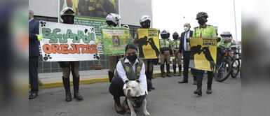 Perrito Max fue rescatado de su expropietario maltratador. Perrito rescatado será agente canino luego de ser salvado de su exdueño