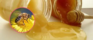 Indecopi brinda recomendaciones para comprar miel de abejas y otros productos apícolas Indecopi brinda recomendaciones para comprar miel de abejas y otros productos apícolas