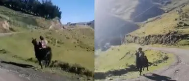 Niño cusqueño es captado usando una llama para llegar a su colegio - VIDEO Viral: niño monta una llama para ir al colegio