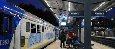 Dos niños saltaron a las vías del tren San Martín para intentar rescatar a su perro y murieron arrollados Dos niños mueren tras intentar salvar a su perro: saltaron a las vías del tren