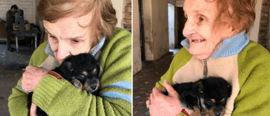 Señora en Argentina enterneció a miles de usuarios en TikTok. Adulta mayor adopta un perrito y se enamora de él al verlo: "Coquito"