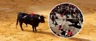 Joven murió por las heridas que sufrió durante corrida de toros en un encierro Joven murió por las heridas que sufrió durante corrida de toros en un encierro