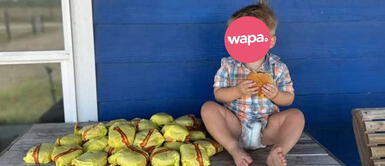 Niño de 2 años pidió 31 hamburguesas de Mc Donald's cuando su mamá le prestó su celular Niño de 2 años pidió 31 hamburguesas cuando su mamá le prestó su celular