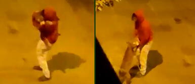 Perrito se divierte bailando y el vídeo es viral en TikTok Hombre engríe a su perrito con tierno baile: "El amor más fiel" | VIDEO