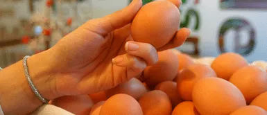 Kilo de huevos se dispara y productores advierten cierre de al menos 30 granjas Kilo de huevos se dispara: productores advierten cierre de al menos 30 granjas