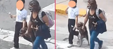 Perrito camino muy tranquilo en dos patitas. Mamá e hija agarran a su perro de las patitas para cruzar la calle y se vuelven viral en redes sociales