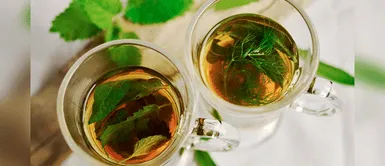 Conoce la lista de remedios caseros para fortalecer las defensas. ¿Qué plantas medicinales ayudan a superar enfermedades respiratorias?