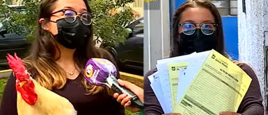 Joven asegura que tiene todos sus documentos en regla. Joven que tiene gallo como mascota podría ser multada por el cacareo