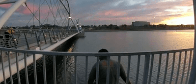 Hombre salta al lago Policías ven ahogarse a un hombre y se niegan a ayudarlo: "No voy a saltar detrás de ti"