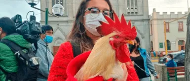 Gallo Claudio se ha vuelto viral en redes sociales. Joven recolecta firmas para conservar a su gallo Claudio: "El problema es mi tía"