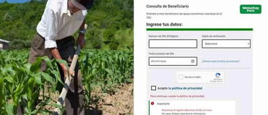 Revisa si puedes cobrar el subsidio del Bono Wanuchay este 2022 Bono Wanuchay de S/ 350: Link para consultar si eres parte de la lista de beneficiarios