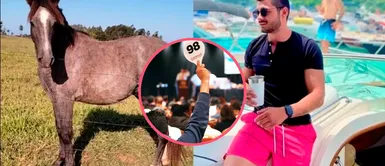 Se embriagó, ingresó a una subasta y compró un caballo: “No sé qué hacer, no tengo dónde ponerlo” Se embriagó, ingresó a una subasta y compró un caballo: “No sé qué hacer, no tengo dónde ponerlo”