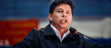 Pedro Castillo: Pedro Castillo: "Si demuestran que robé, seré el primero en decir hasta acá nomás"